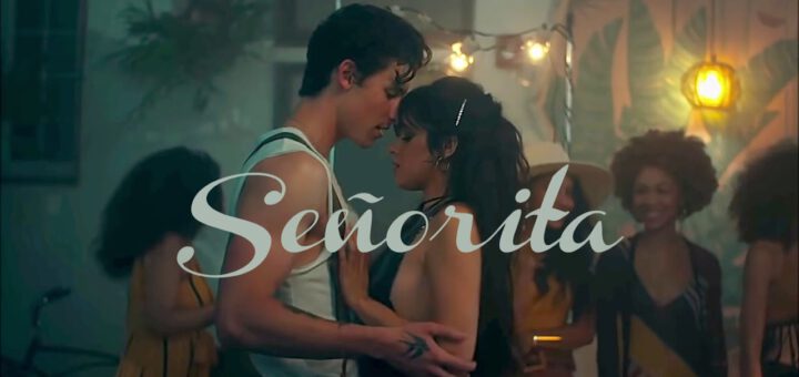 Shawn Mendes, Camila Cabello - Señorita (DJ Tronky Bachata Remix)